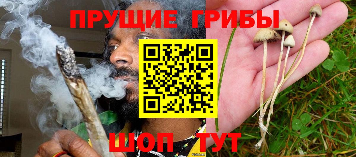 Псилоцибиновые грибы ЛСД Курчатов