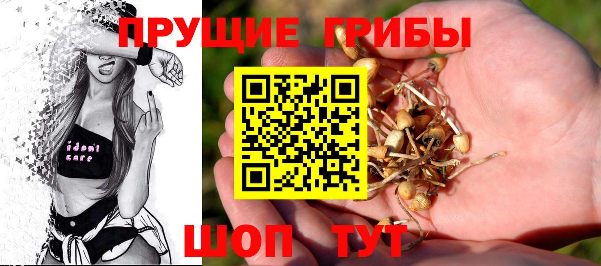 Галлюциногенные грибы прущие грибы  Псилоцибиновые грибы мицелий  Курчатов  Вход с VPN 